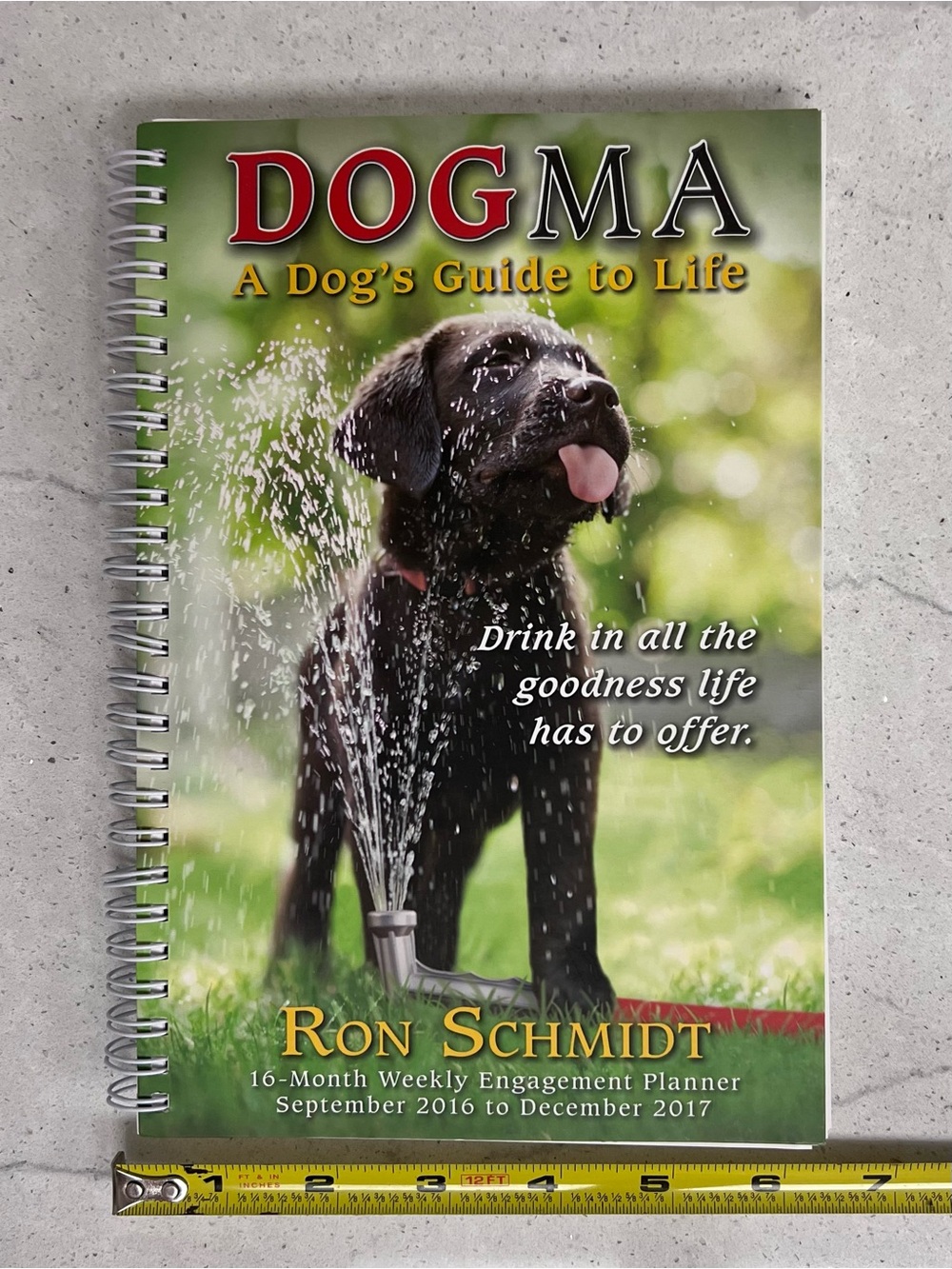 NEW, 2016 2017 DOGMA 16-month engagement planner calendar. Ron Schmidt